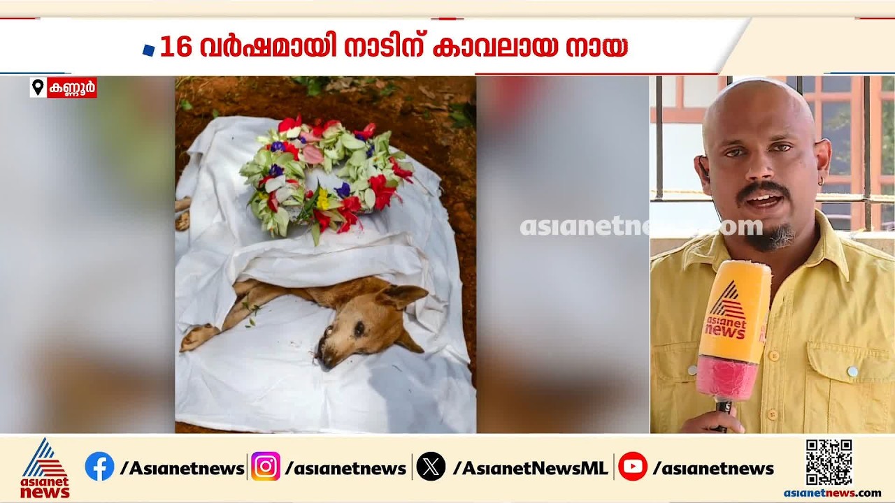 വെറും നായയല്ല, നാടിന്റെ കാവൽക്കാരൻ; 16 വർഷമായി നാടിന് കാവലായ നായ, വിട നൽകി നാട്ടുകാർ