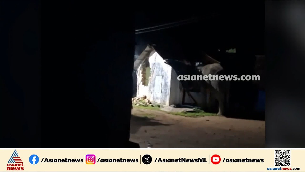 ഈ മാസത്തെ റേഷൻ വാങ്ങാൻ വന്നതാ...;പന്ത്രണ്ടാം തവണയും റേഷൻ കടയ്ക്ക് നേരെ ചക്കകൊമ്പന്റെ ആക്രമണം