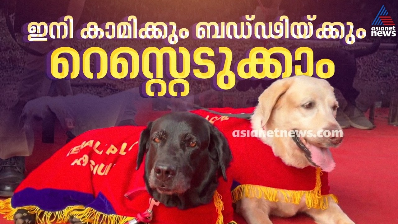 സ്നേഹത്തിന്റെ നോവുണർത്തി വിടവാങ്ങൽ; ബഡ്ഢിയ്ക്കും കാമിക്കും  ഇനി വിശ്രമം | Dog Squad | Kerala Police
