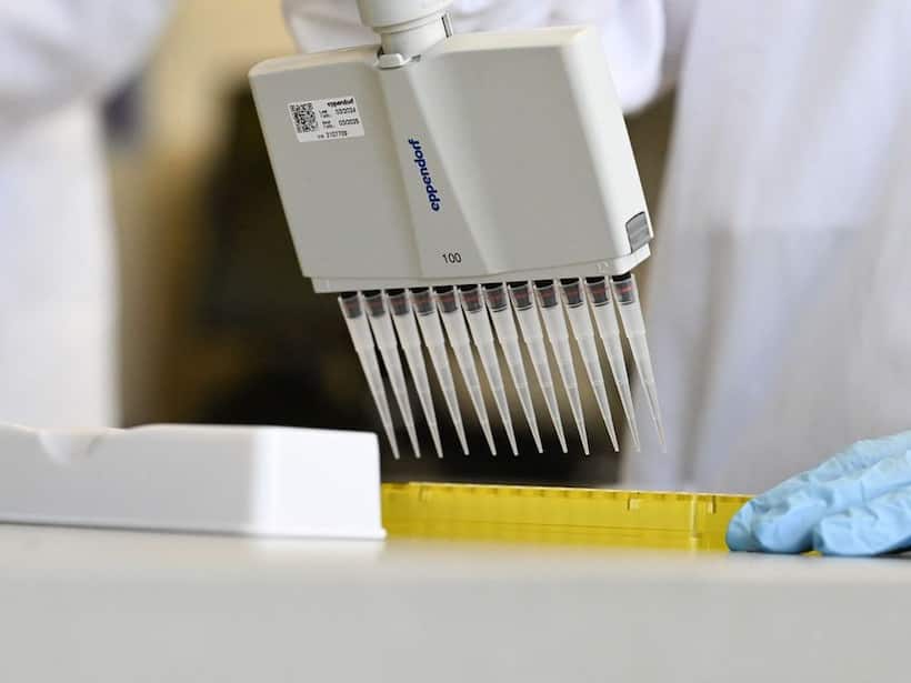 Cassava Sciences Stock Drops Over 30% After Alzheimer’s Drug Fails Study – But Retail Remains Hopeful