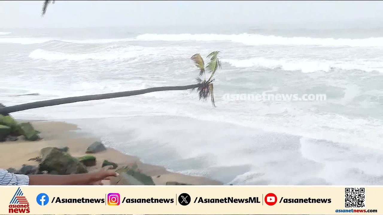 കാസര്‍കോട് തീരമേഖലയില്‍ കടല്‍ക്ഷോഭം രൂക്ഷം; ഉദുമ ജന്മ കടപ്പുറത്ത് തെങ്ങുകള്‍ കടപുഴകി