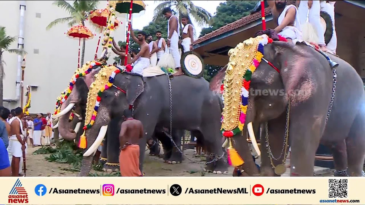 തൃശ്ശൂരിൽ പൂരാവേശം; ഘടകപൂരങ്ങളുടെ വരവ് തുടങ്ങി, ഇല‌ഞ്ഞിത്തറ മേളം ഉച്ചയ്ക്ക് 2.30ന്