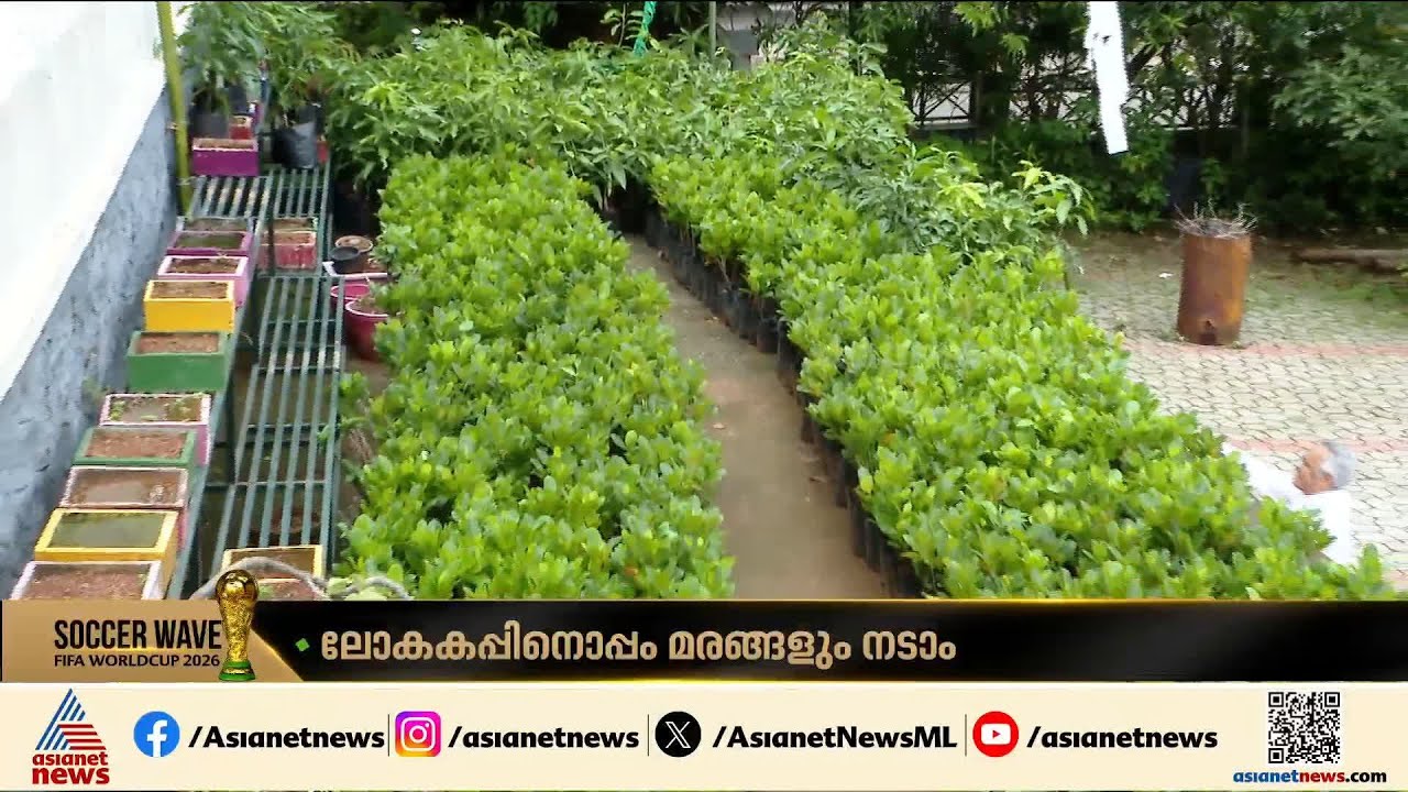 ലോകകപ്പ് ഫുട്‍ബോളും പ്ലാവും മാവും തമ്മിലെന്ത് ബന്ധം?,കഥ സൊല്ലട്ടുമാ....| FIFA World Cup | Kerala