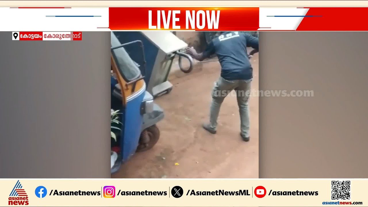 കോട്ടയത്ത് വീട്ടിലെ അലമാരയിൽ രാജവെമ്പാല; വനംവകുപ്പെത്തി പാമ്പിനെ പിടികൂടി