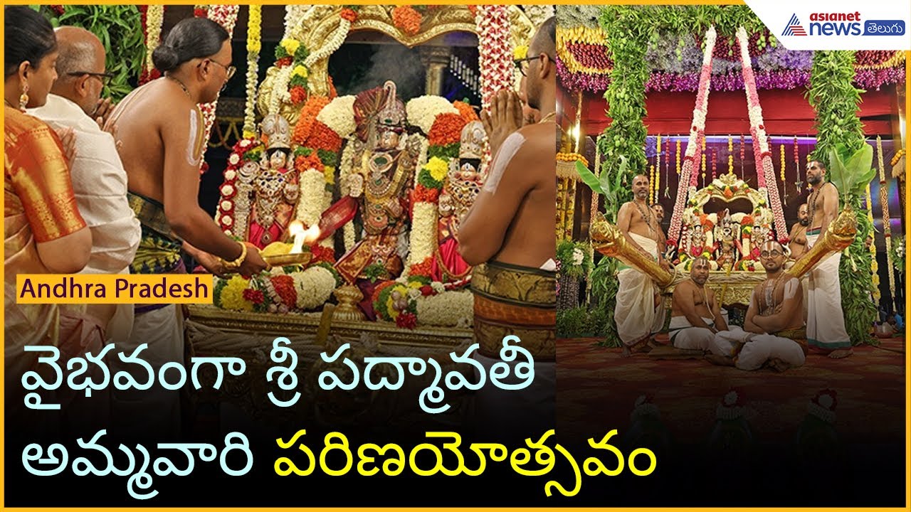 Tirumala: వైభవంగా శ్రీ పద్మావతీ అమ్మవారి పరిణయోత్సవం | TTD Updates | Asianet News Telugu