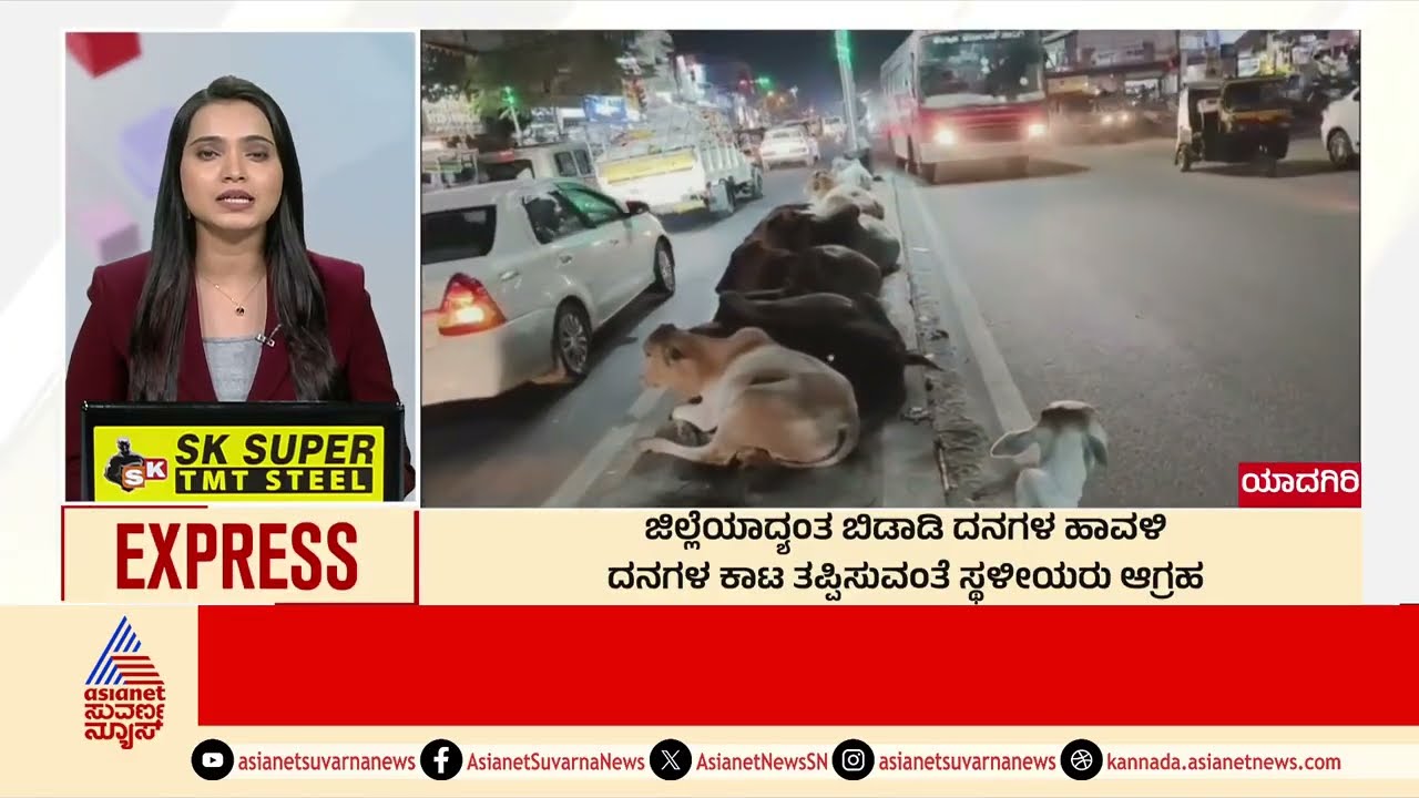 Yadgir: ಜಿಲ್ಲೆಯಾದ್ಯಂತ ಬಿಡಾಡಿ ದನಗಳ ಹಾವಳಿ