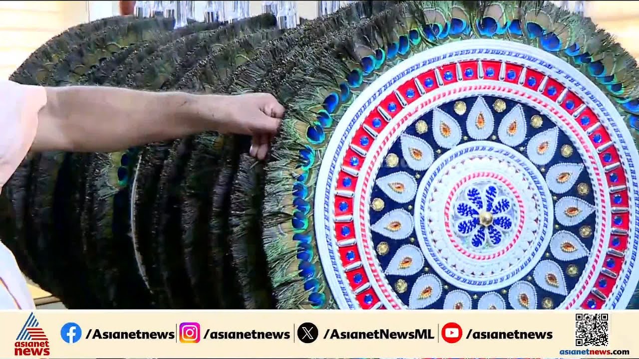 പൂരത്തിന് വര്‍ണവിസ്‌മയം തീര്‍ക്കാന്‍ ആലവട്ടവും വെഞ്ചാമരവും ഒരുങ്ങി | Thrissur pooram