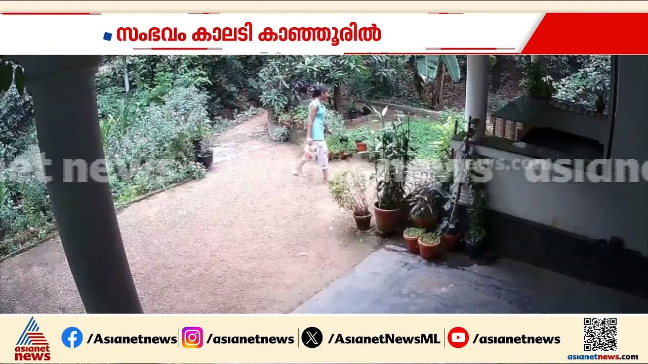 ചെടിച്ചട്ടിയില്‍ നിന്നും പാമ്പ്; പെണ്‍കുട്ടി രക്ഷപെട്ടത് തലനാരിഴക്ക്