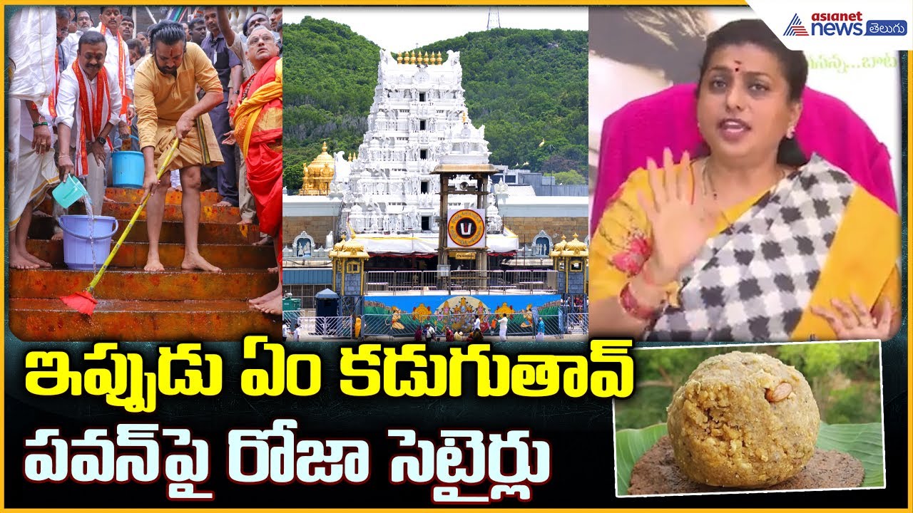 RK Roja Comments: పవన్ పై రోజా సెటైర్లు | Deputy CM Pawan Kalyan | Asianet News Telugu