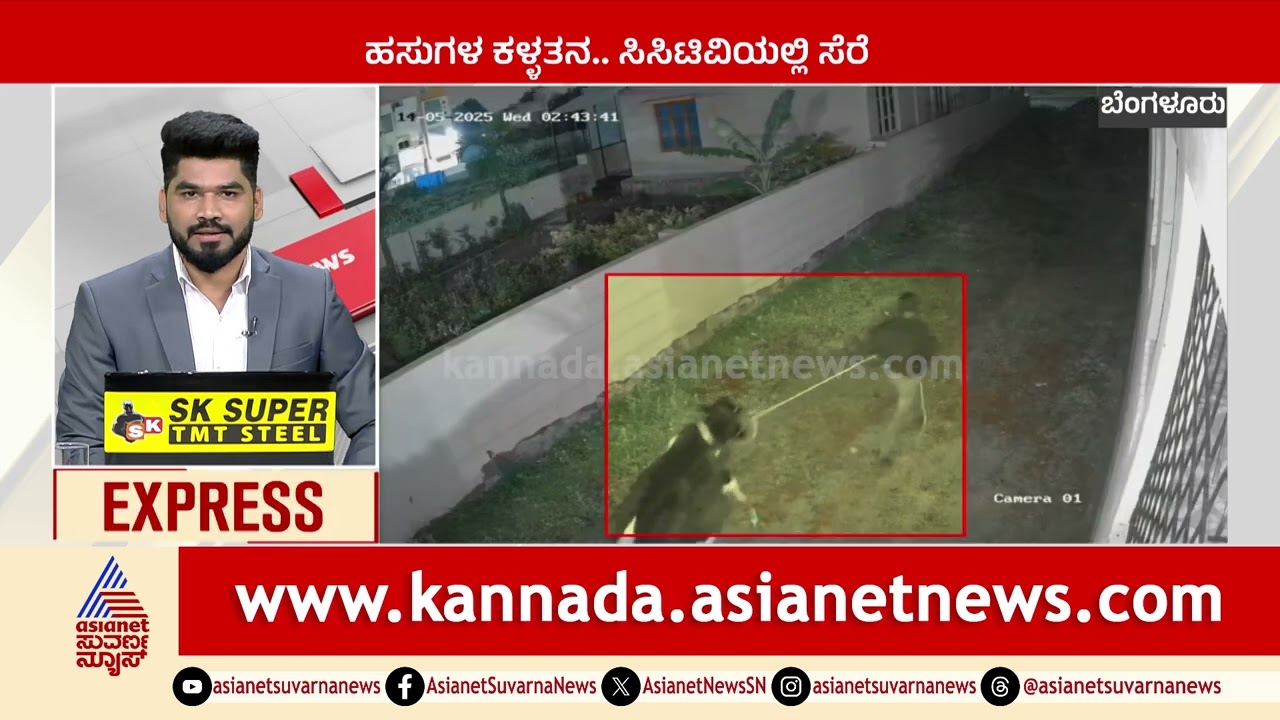 ಹಸುಗಳ ಕಳ್ಳತನ.. ಸಿಸಿಟಿವಿಯಲ್ಲಿ ಸೆರೆ