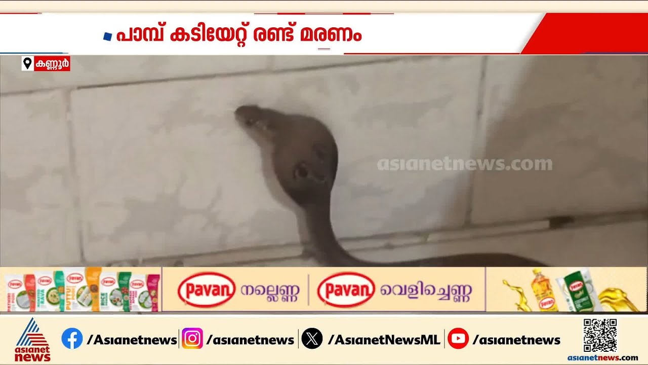 സംസ്ഥാനത്ത് പാമ്പുകടിയേറ്റ് ഇന്ന് മരിച്ചത് രണ്ട് വയോധികര്‍