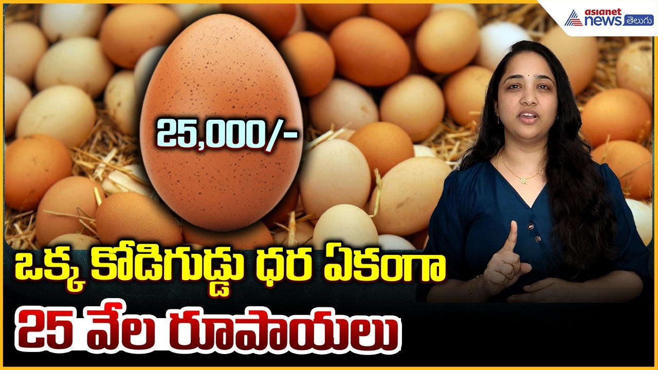 ₹25,000 Egg in India? ఒక్క కోడిగుడ్డు ధర ఏకంగా25 వేల రూపాయలు | Asianet News Telugu