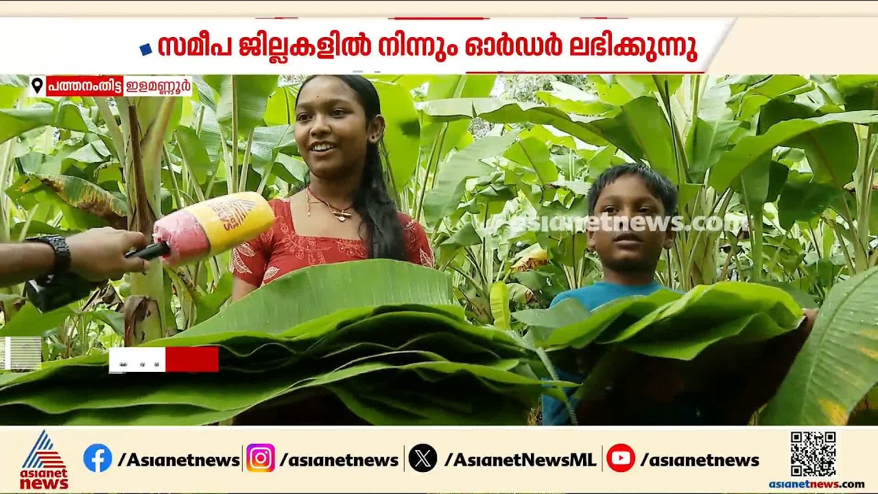 ഓണ വിപണി ലക്ഷ്യമിട്ട് വാഴയില കൃഷി; ഡ്രൈവര്‍ ജോലി ഉപേക്ഷിച്ച കര്‍ഷകൻ സുരേഷിന് ഇത് പ്രതീക്ഷയുടെ ഓണ