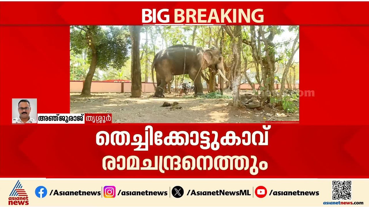 തൃശ്ശൂർ പൂരം;ഇത്തവണ തെച്ചികോട്ടുകാവ് രാമചന്ദ്രൻ ചെമ്പുക്കാവ് ഭഗവതിയുടെ തിടമ്പേറ്റും| Thrissur Pooram