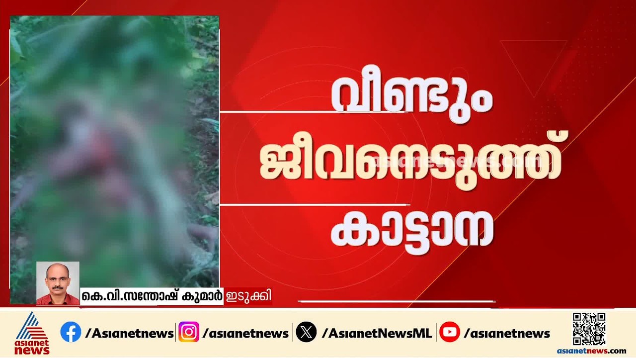 വീണ്ടും ജീവനെടുത്ത് കാട്ടാന; ഇടുക്കിയിൽ ആദിവാസി യുവാവിന് ദാരുണാന്ത്യം