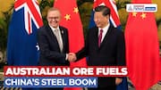 Chinese Steel, Australian Ore: Albanese Flags Global Concern on Overcapacity