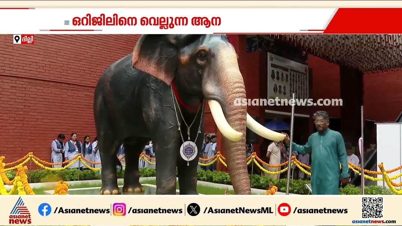 'ആന ഒരു വികാരം'; ഒടുവിൽ ആഗ്രഹം സാധ്യമായി, ദില്ലി കാനറിംഗ് റോഡ് കേരള സ്കൂളിൽ ആനപ്രതിമ സ്ഥാപിച്ചു