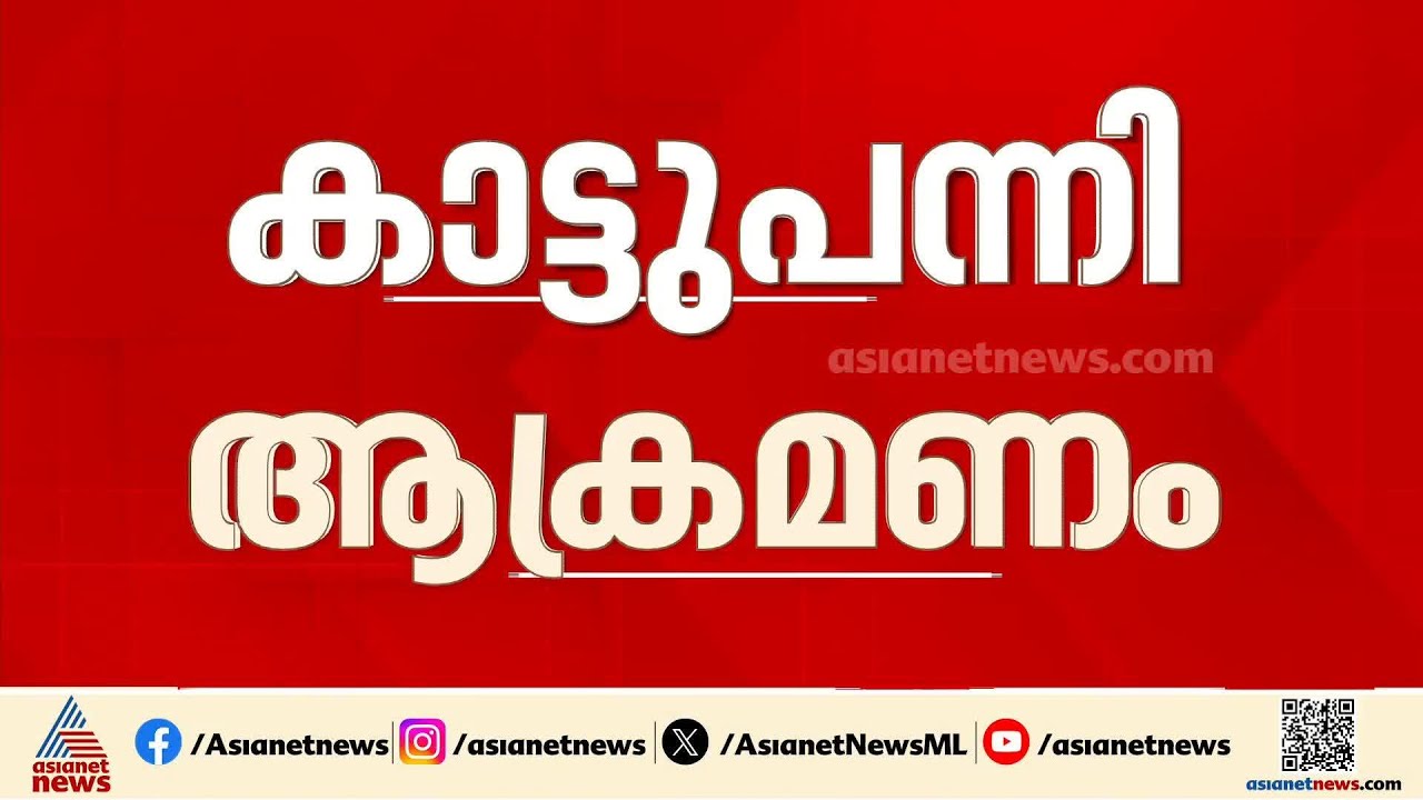 താമരശ്ശേരി ദേശീയപാതയിൽ കാട്ടുപന്നി ആക്രമണം; അച്ഛനും മകൾക്കും പരിക്ക്