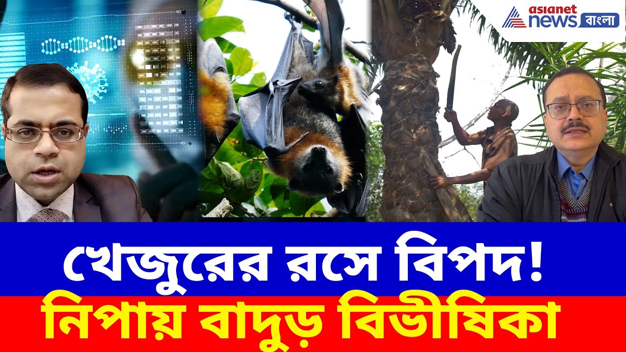 Nipah Virus: নিপায় বাঁচতে যা করণীয়, যা করবেন না। কতটা দায়ি খেজুরের রস, বাদুড়। বিশেষ প্রতিবেদন।