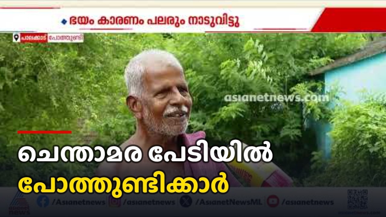 'എല്ലാവർക്കും പേടിയാ...ചെന്താമരയെ പേടിച്ച് പലരും നാടുവിട്ടു പോയി'| Nenmara murder case | Chenthamara