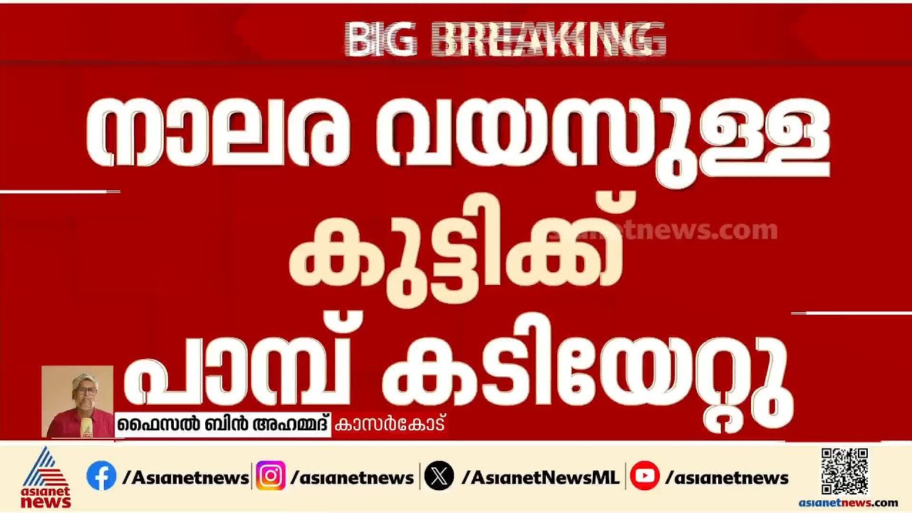 കാസർകോട് നാലര വയസുള്ള കുട്ടിക്ക് പാമ്പ് കടിയേറ്റു | Snake Bite | Kasaragod