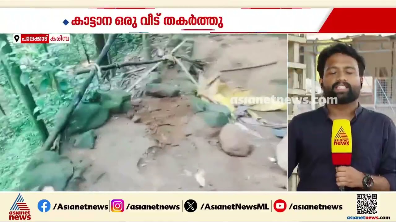 പാലക്കാട്‌ ആദിവാസി ഉന്നതിയിൽ കാട്ടാന ആക്രമണം; രണ്ട് പേർക്ക് പരിക്ക് | Palakkad | Wild elephant