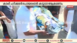 Wayanad Tiger Attack: Radha's Body at Mananthavady Med. College