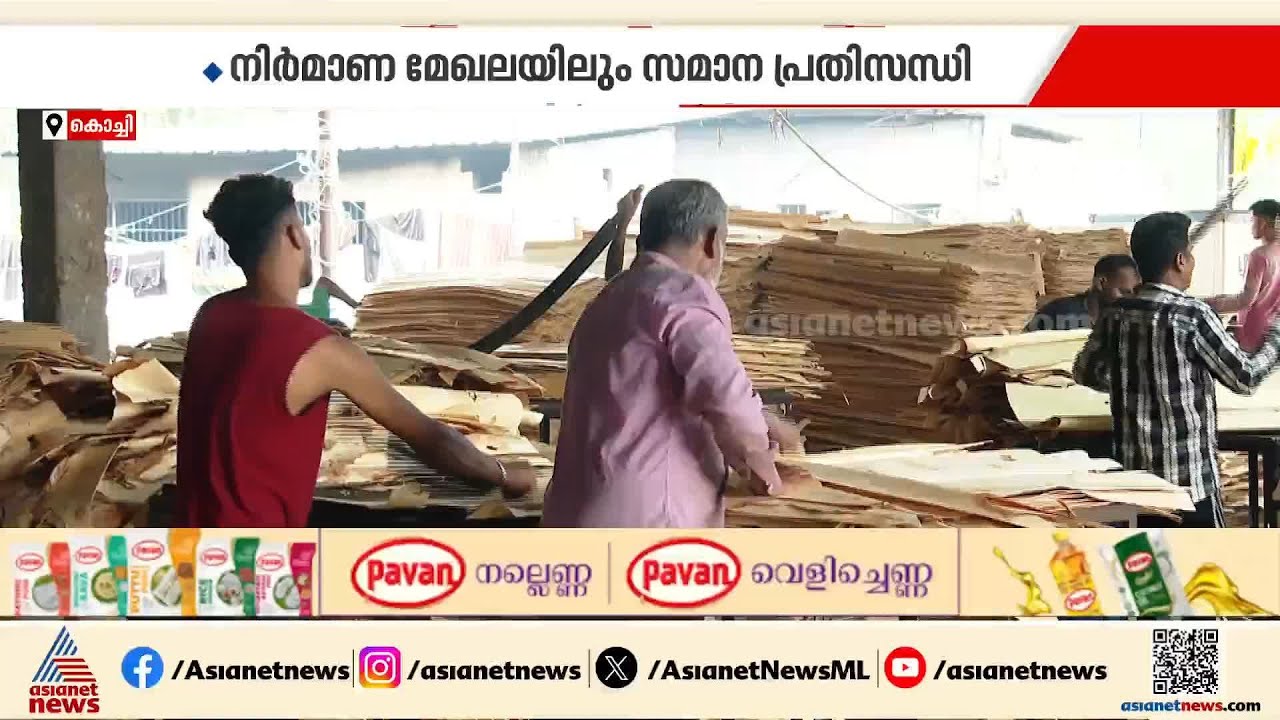എന്നും വരും ഭായ്മാർ?; പ്രതിസന്ധിയിൽ കേരളത്തിലെ പ്ലെെവുഡ് മേഖല