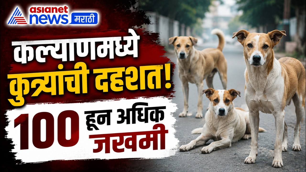 कल्याणमध्ये भटक्या कुत्र्यांचा हल्ला, 100 हून अधिक जखमी | Dog Attack | Kalyan | Stray Dogs