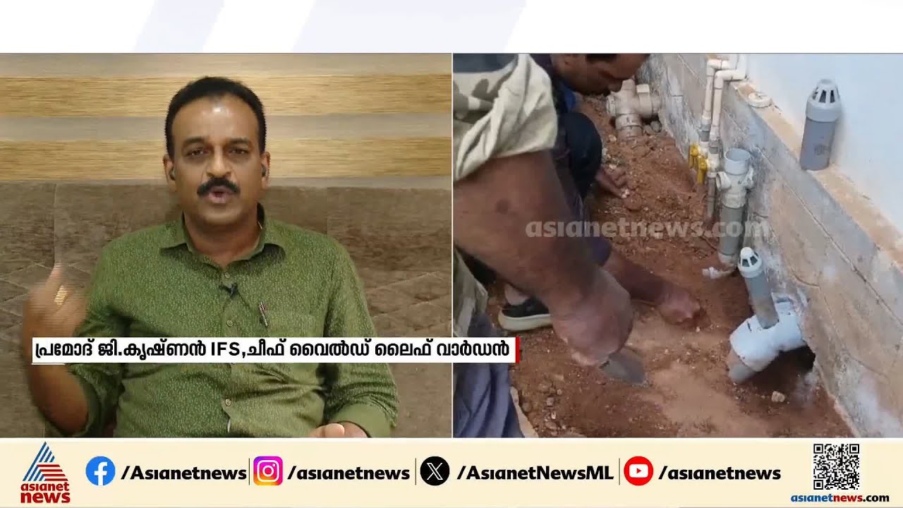 'വീടും പരിസരവും വൃത്തിയായി സൂക്ഷിക്കുക,വീടുകളിലുള്ള ചെറിയ ദ്വാരങ്ങൾ പോലും ഒഴിവാക്കുക'