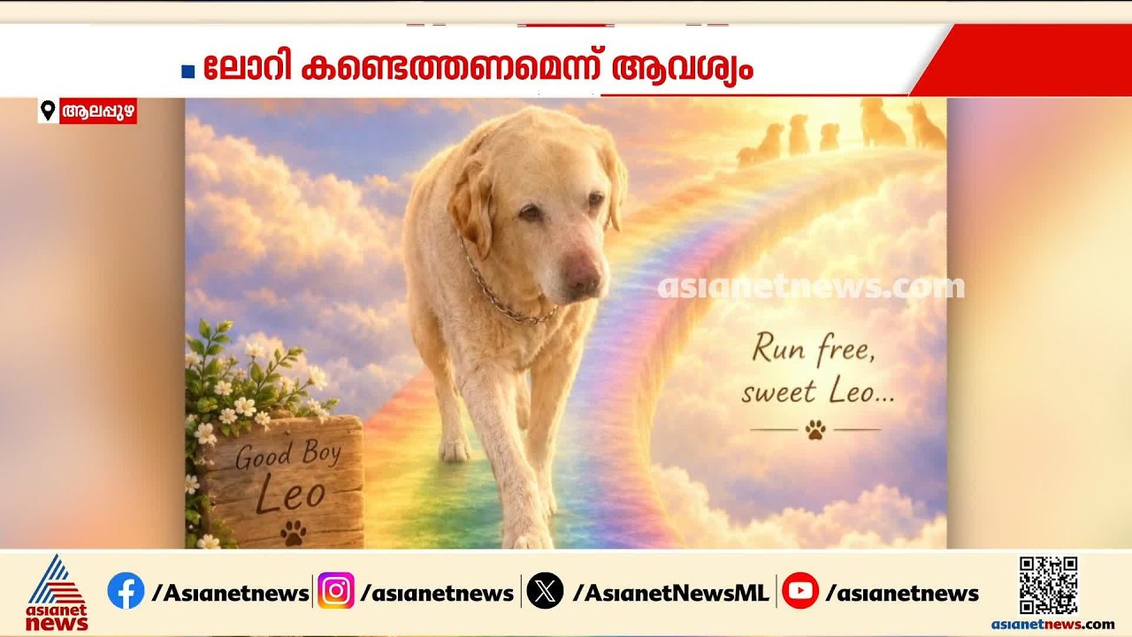 വളര്‍ത്ത് നായയെ ഇടിച്ചു കൊന്ന വാഹനം കണ്ടെത്തണം; പൊലീസിൽ പരാതി നൽകി വീട്ടമ്മ