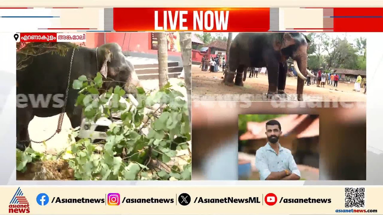 'ആദ്യത്തെ അനുഭവമാണ്, ഭയന്നുപോയി'; ആനക്കലിയിൽ വിറങ്ങലിച്ച് പ്രദേശവാസികൾ