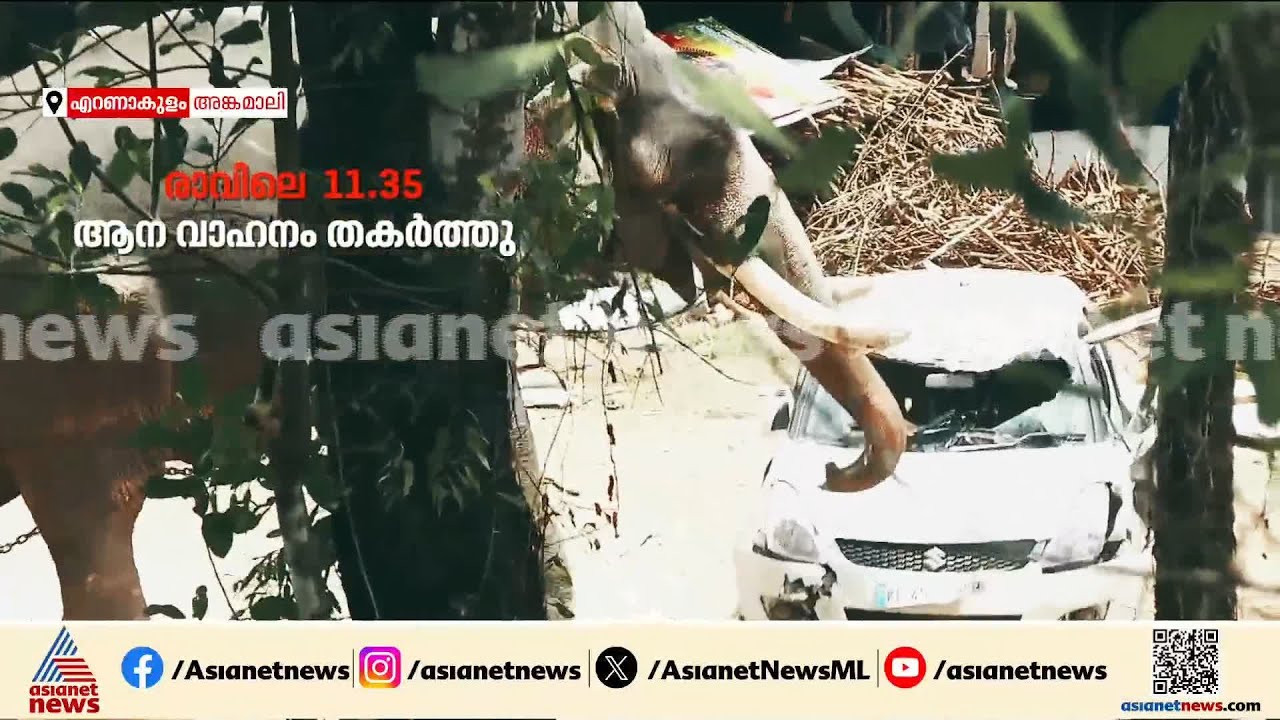 കലിപൂണ്ട് കണ്ണിൽ കണ്ടതെല്ലാം തകർത്ത ആനക്കലി, ഭീതിയുടെ മണിക്കൂറുകൾ....