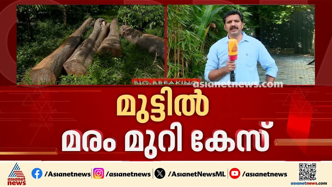 മുട്ടിൽ മരംമുറി കേസ്: റോജി അഗസ്റ്റിൻ ഇന്ന് ചോറ്റാനിക്കര കോടതിയിൽ ഹാജരാകും | Muttil tree felling case