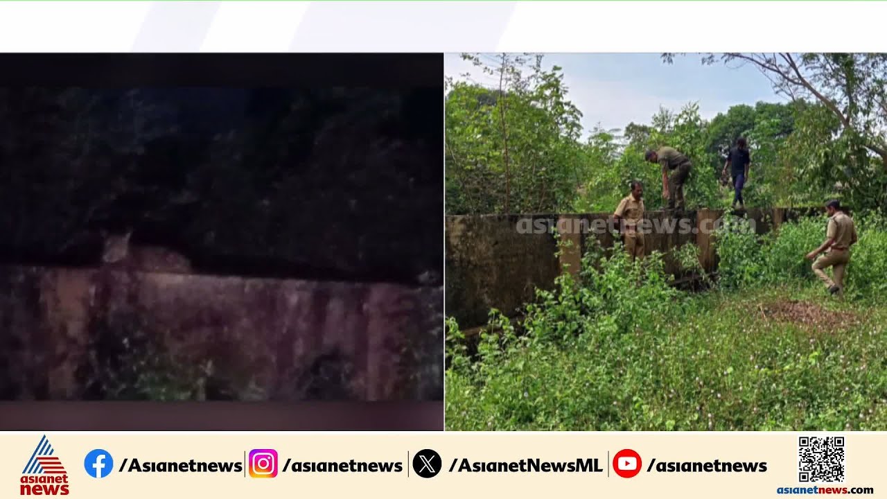 മലമ്പുഴയിൽ പുലി! പ്രദേശത്ത് അതീവ ജാഗ്രത നിർദ്ദേശം | Palakkad | Malampuzha