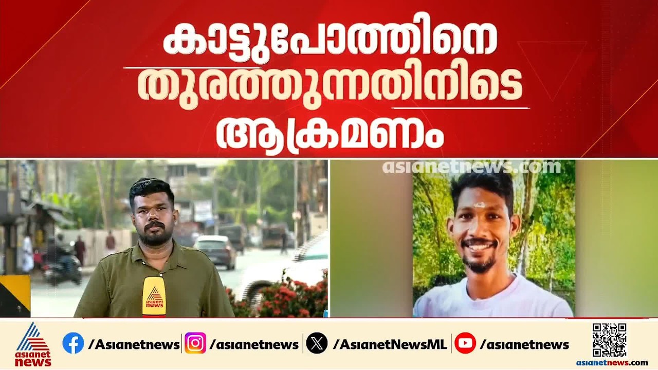 കോഴിക്കോട് വിലങ്ങാട് ഉന്നതിയിൽ കാട്ടുപോത്തിന്റെ ആക്രമണം; യുവാവിന് ദാരുണാന്ത്യം | Bison Attack