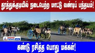 Thoothukudi Bullock Cart Race Thrills Spectators