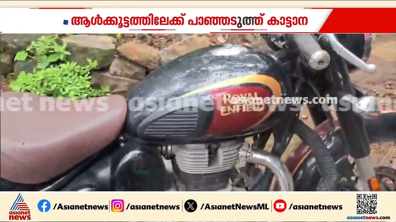 അതിരപ്പിള്ളി വഞ്ചിക്കടവിൽ ആൾക്കൂട്ടത്തിന് നേരെ പാഞ്ഞ് കാട്ടാന