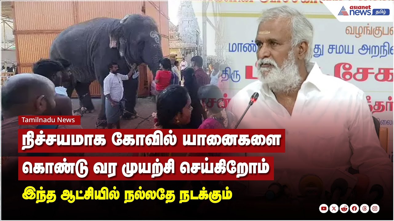 நிச்சயமாக கோவில் யானைகளை கொண்டு வர முயற்சி செய்கிறோம் இந்த ஆட்சியில் நல்லதே நடக்கும்