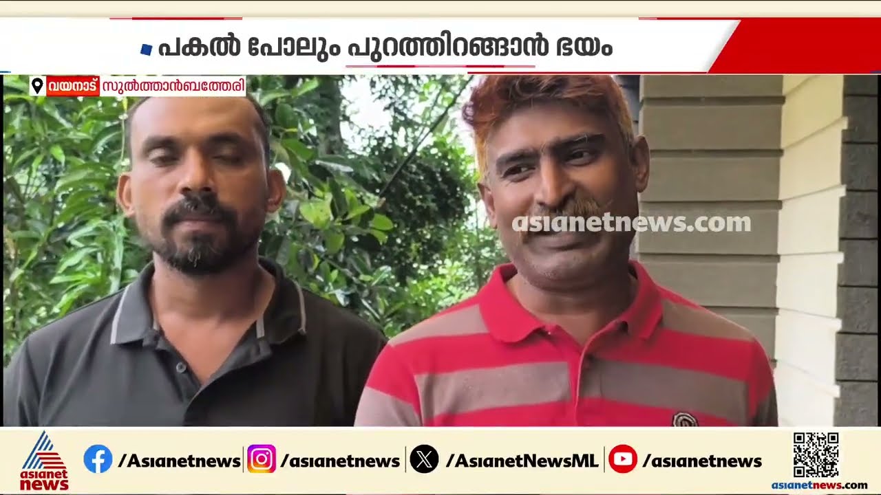 പകൽ പോലും പുറത്തിറങ്ങാൻ ഭയം, വന്യമൃഗങ്ങളെ ഭയന്ന് ജീവിതം; ഭീതിയിൽ സത്രംകുന്ന് നിവാസികൾ