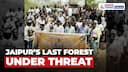Rajasthan: Jaipur’s Last Forest Faces Axe: Dol Ka Badh to Be Cleared for Malls & Concrete