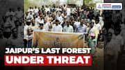 Rajasthan: Jaipur’s Last Forest Faces Axe: Dol Ka Badh to Be Cleared for Malls & Concrete