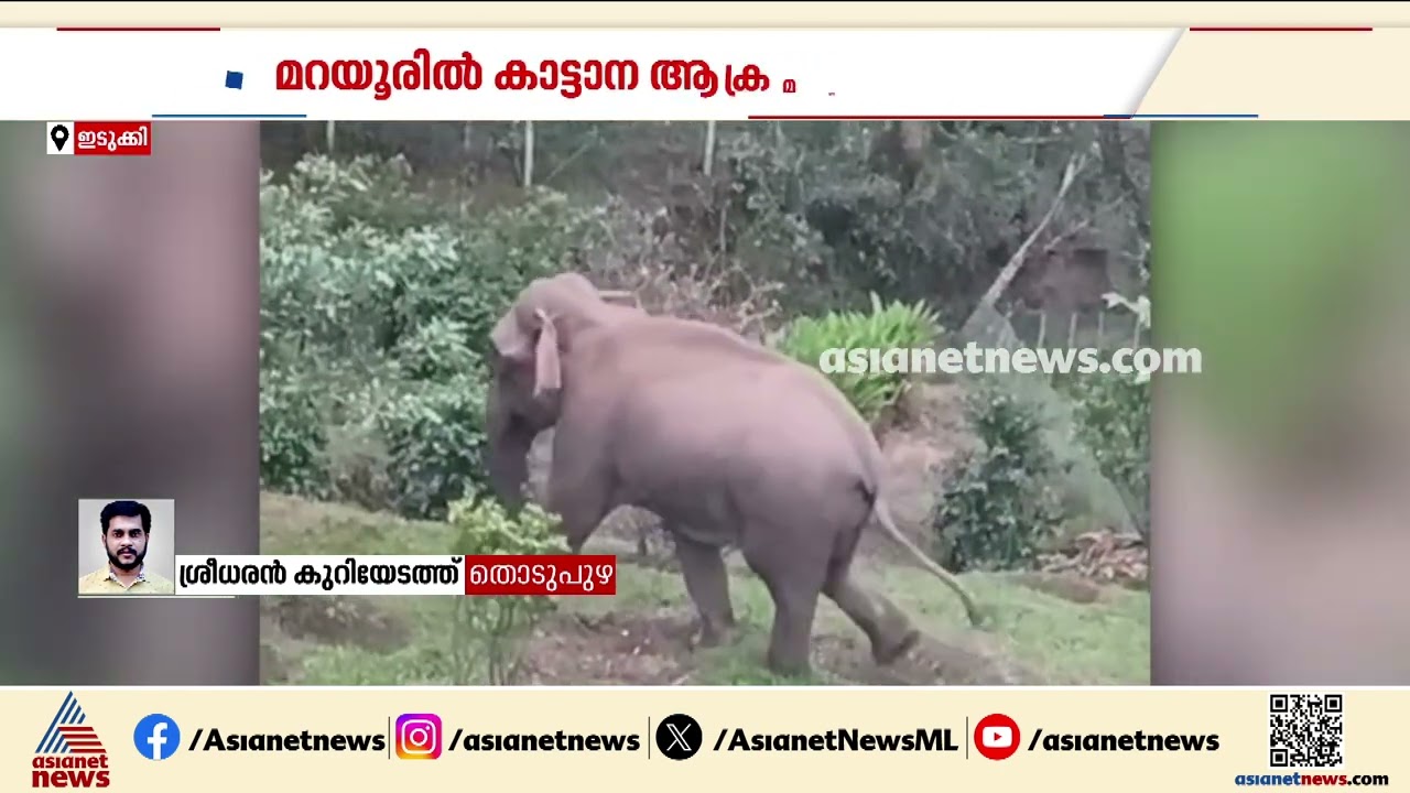 ഇടുക്കി മറയൂരിൽ കാട്ടാന ജീപ്പ് തകർത്തു; RRT ആനയെ തുരത്താൻ ശ്രമം തുടങ്ങി | Idukki | Elephant