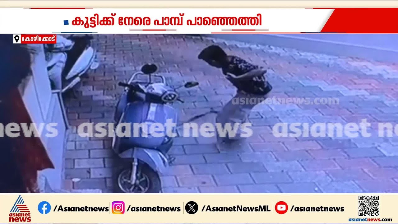 വിദ്യാര്‍ത്ഥിക്ക് നേരെ പാഞ്ഞടുത്ത് പാമ്പ്; കടിയേല്‍ക്കാതെ രക്ഷപ്പെട്ടത് തലനാരിഴയ്ക്ക്