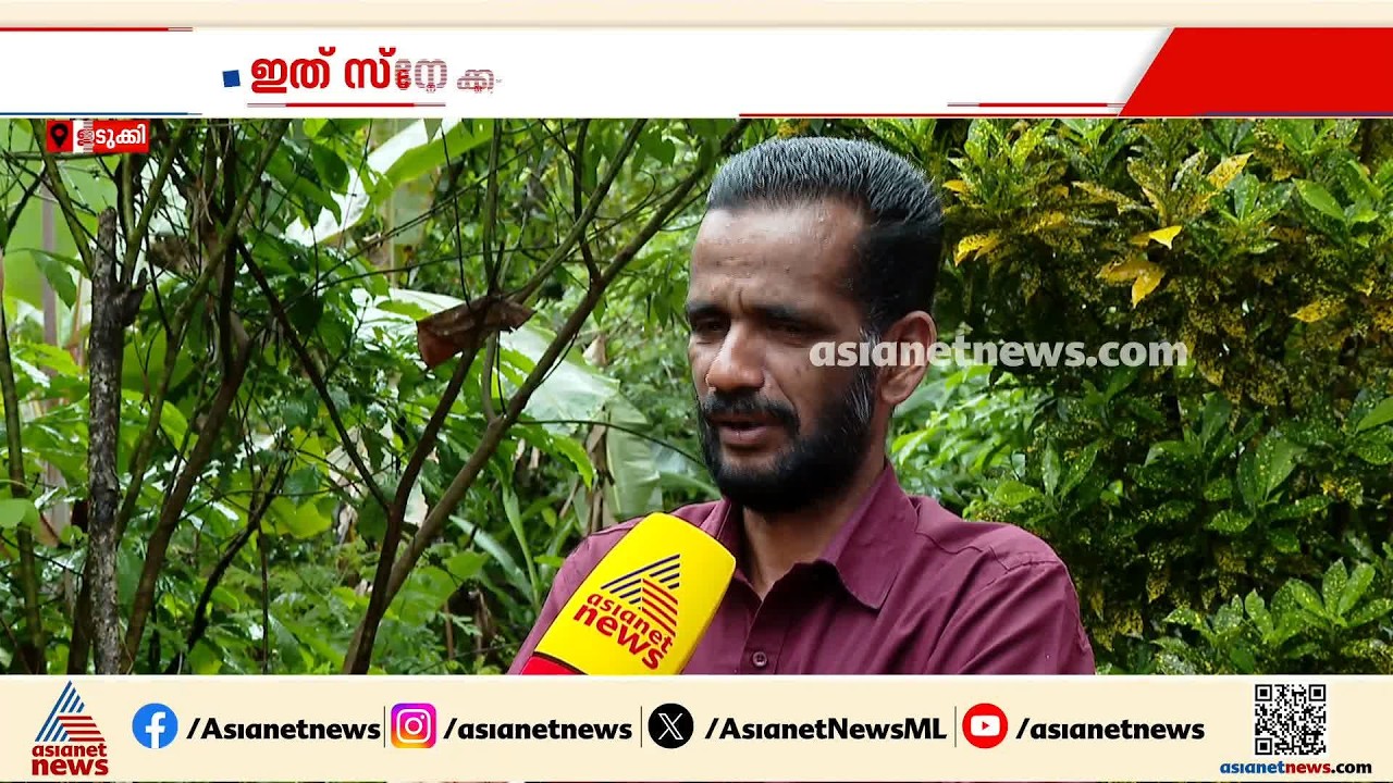 എന്താ പാമ്പേ നിന്റെ പ്രശ്നം?; ഇടുക്കി സ്വദേശി മോൻസി ജോർജിന് പാമ്പുകടിയേറ്റത് 9 തവണ | Idukki | Snake