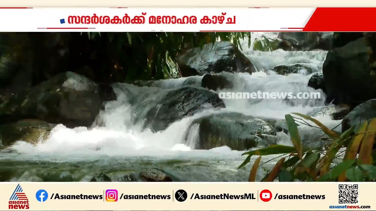 കാഴ്ചക്കാരുടെ കണ്ണും മനസും നിറച്ച് അച്ചങ്കല്ല് വെള്ളച്ചാട്ടം; ഇനി കൂടുതൽ സൗകര്യങ്ങളൊരുക്കാൻ അധികൃതർ