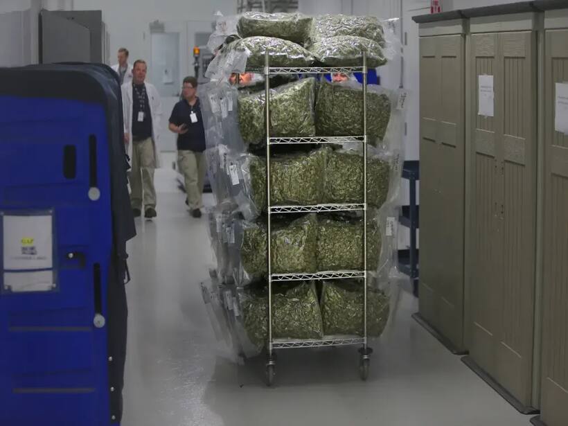 https://stocktwits.com/news articles/markets/equity/canopy growth reports disappointing q4 earnings/ch0MDqzRbM6
