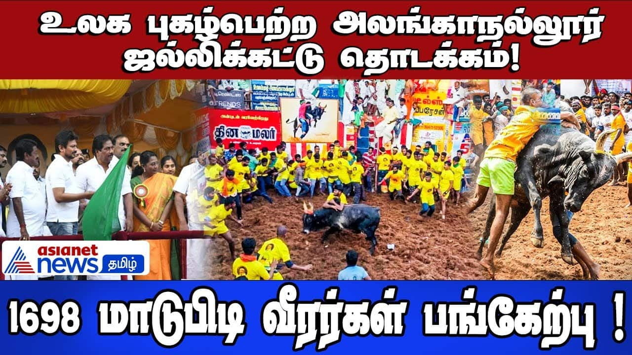 Alanganallur Jallikattu Begins: 698 Bull Tamers Participate