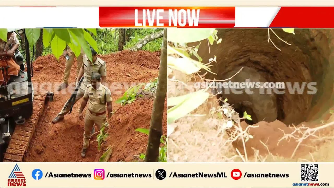 കിണറിൻ്റെ ഒരു ഭാഗം ഇടിച്ചു, ഹിറ്റാച്ചി കൊണ്ട് കുട്ടിയാനയെ കരയ്ക്ക് എത്തിക്കാൻ ശ്രമം | Pathanamthitta