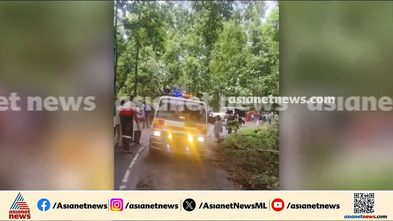 നെന്മാറ പോത്തുണ്ടിയിൽ KSRTC ബസ് മറിഞ്ഞു; നിരവധി പേർക്ക് പരിക്ക് | KSRTC Bus Accident